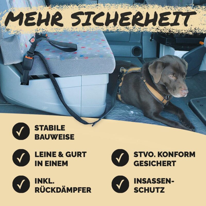 2-in-1 Hundeleine zum anschnallen – Bild 3