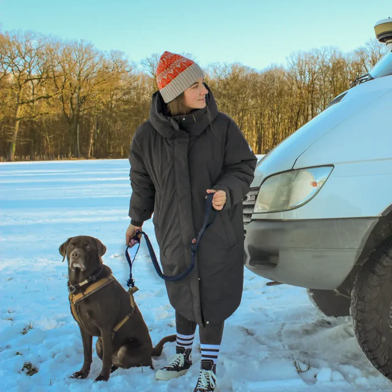 Hunde Camping Set – Bild 2