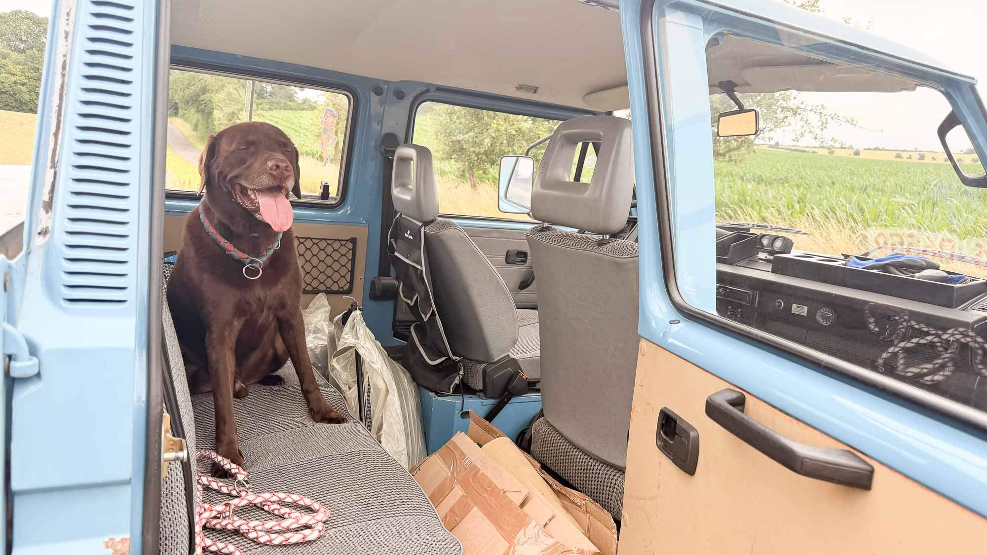 VW T3 Syncro Doka 2,1 WBX SWEDEN IMPORT – Bild 7